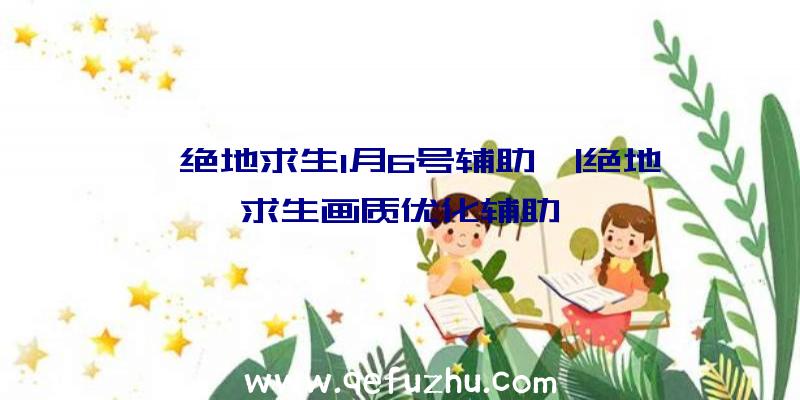 「绝地求生1月6号辅助」|绝地求生画质优化辅助